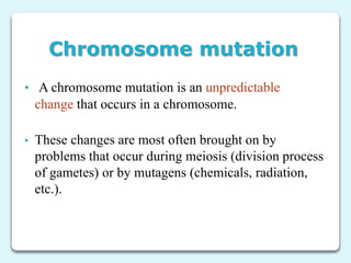 Chromosome mutation
• A chromosome mutation is an unpredictable
change that occurs in a chromosome.
• These changes are most often brought on by
problems that occur during meiosis (division process
of gametes) or by mutagens (chemicals, radiation,
etc.).
 