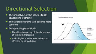 Types of Natural Selection powerpoint for bio | PPTX