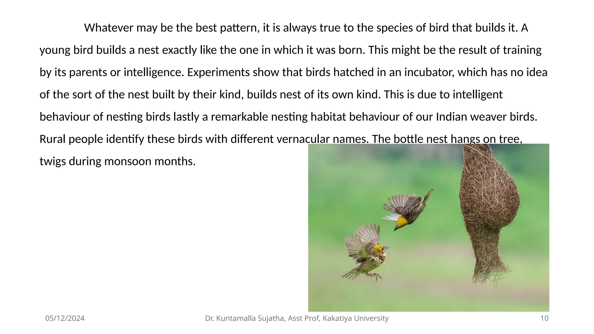Types of nesting's - different types of nests.pptx