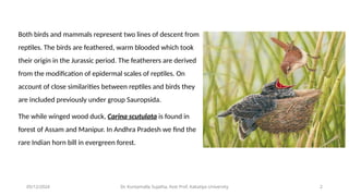 Types of nesting's - different types of nests.pptx