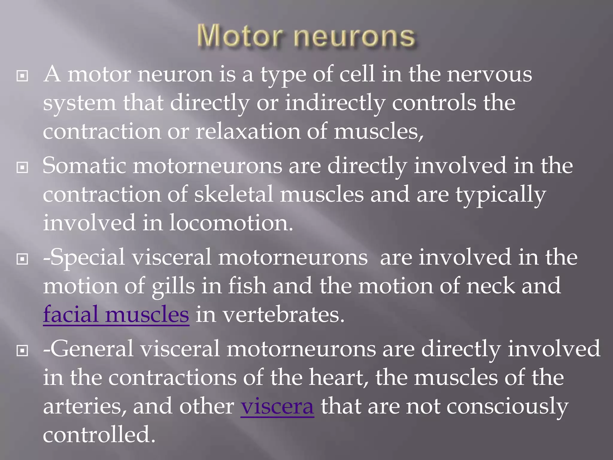 Types of neurons | PPTX