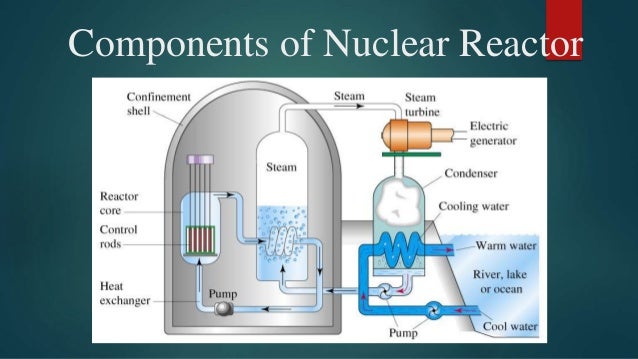 Diagram Showing A Typical Nuclear Reactor Choice Image 