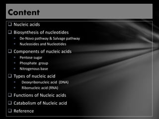 Types of nucliec acids, biosynthesis and catabolism