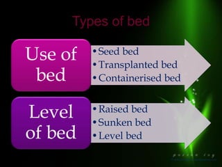 Types of bed
•Seed bed
•Transplanted bed
•Containerised bed
Use of
bed
•Raised bed
•Sunken bed
•Level bed
Level
of bed
 