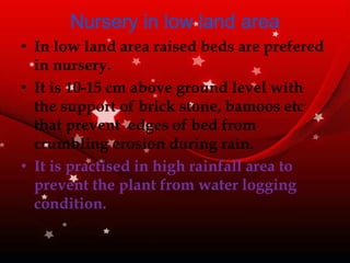 Nursery in low land area
• In low land area raised beds are prefered
in nursery.
• It is 10-15 cm above ground level with
the support of brick stone, bamoos etc
that prevent edges of bed from
crumbling erosion during rain.
• It is practised in high rainfall area to
prevent the plant from water logging
condition.
 