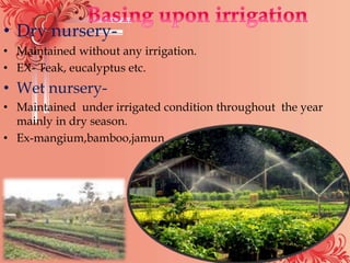 • Dry nursery-
• Maintained without any irrigation.
• EX- Teak, eucalyptus etc.
• Wet nursery-
• Maintained under irrigated condition throughout the year
mainly in dry season.
• Ex-mangium,bamboo,jamun
 