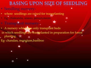 • Seedling nursery-
• where seedlings are raised for transplanting.
• Eg- chakunda, sissoo, jamun,neem
• Transplant nursery-
• A nursery which has only transplant beds
in which seedlings are transplanted in preparation for forest
planting.
Eg- chandan, mangium,bamboo
 