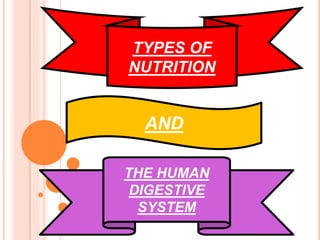 TYPES OF 
NUTRITION 
AND 
THE HUMAN 
DIGESTIVE 
SYSTEM 
 