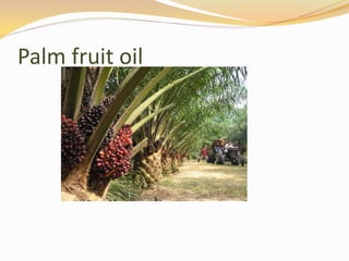 Palm fruit oil
 
