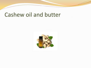 Cashew oil and butter
 