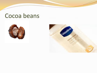 Cocoa beans
 