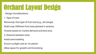 Types_of_Orchard_Farms_and_Layout_TLE6.pptx