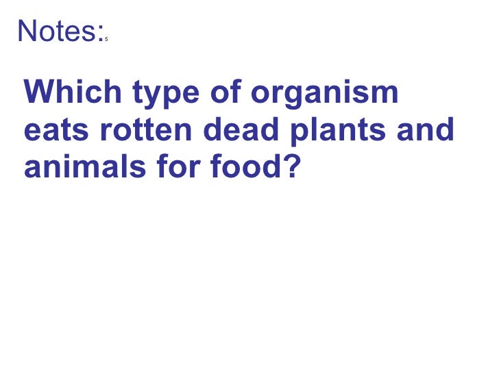 Types of organisms