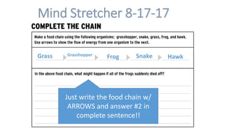 Mind Stretcher 8-17-17
Just write the food chain w/
ARROWS and answer #2 in
complete sentence!!
Grass FrogGrasshopper Snake Hawk
 