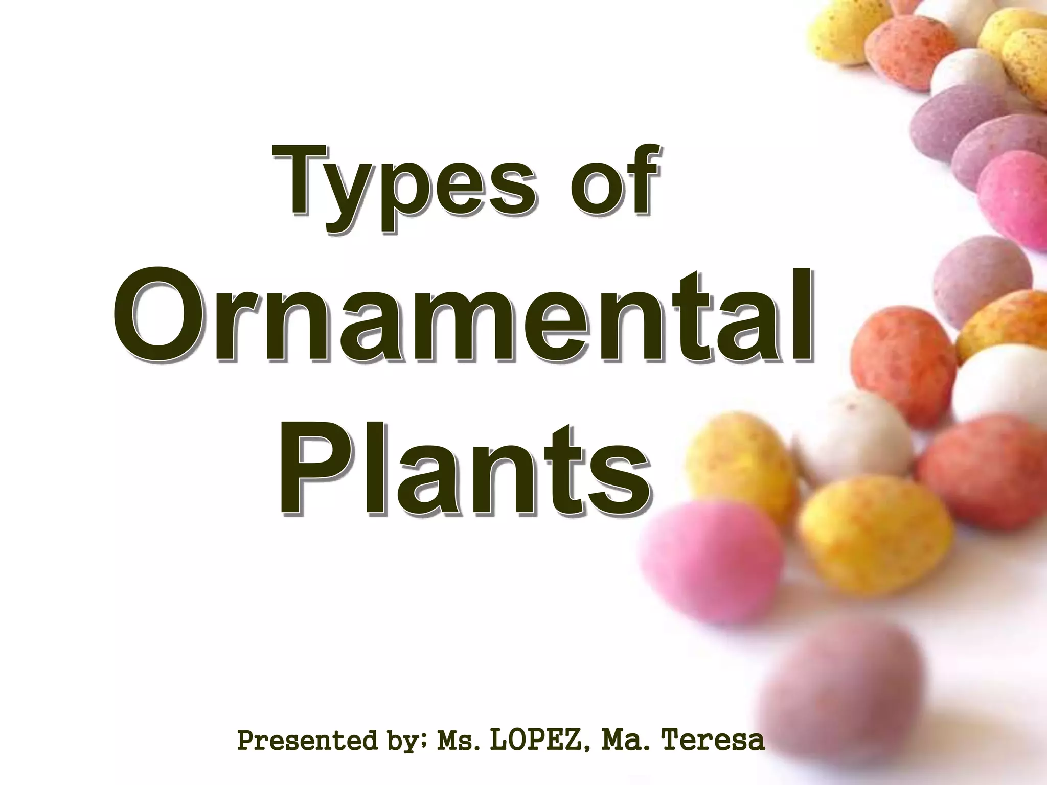 Typesofornamentalplants PPT