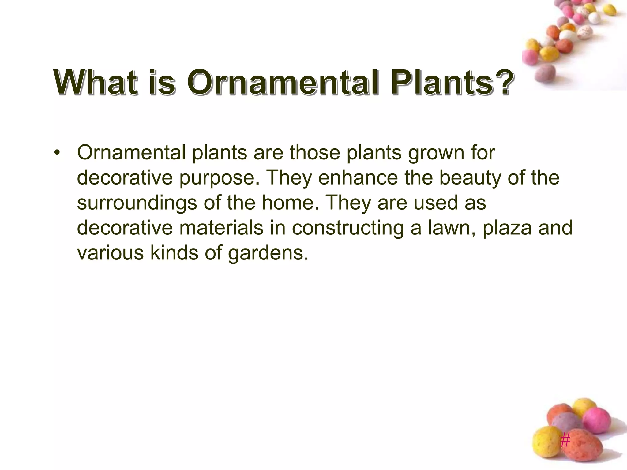 Typesofornamentalplants PPT