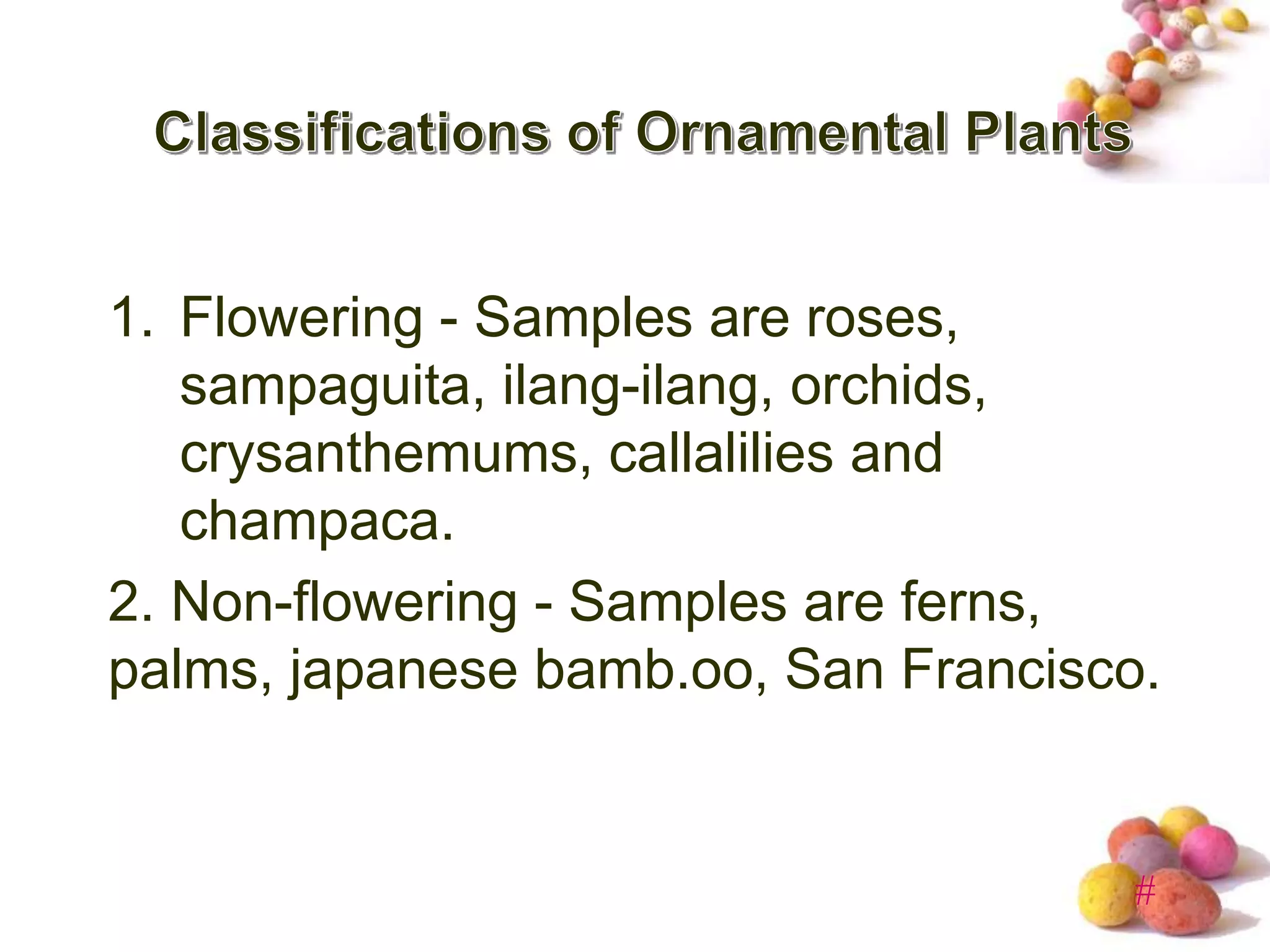 Typesofornamentalplants PPT