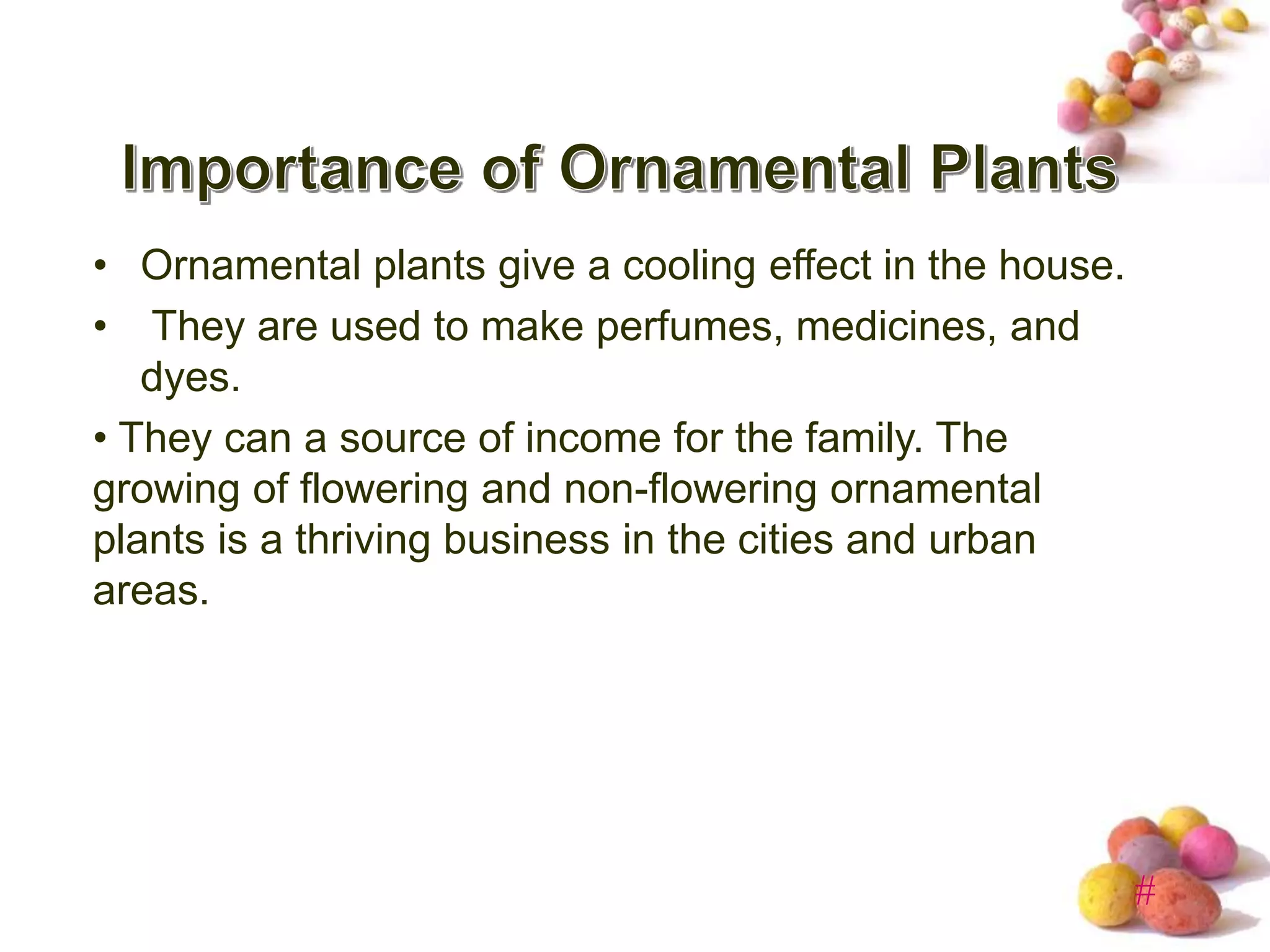 Typesofornamentalplants PPT