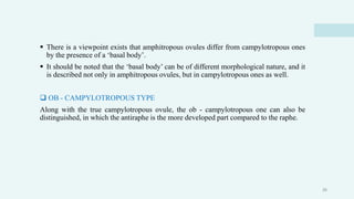  There is a viewpoint exists that amphitropous ovules differ from campylotropous ones
by the presence of a ‘basal body’.
 It should be noted that the ‘basal body’ can be of different morphological nature, and it
is described not only in amphitropous ovules, but in campylotropous ones as well.
 OB - CAMPYLOTROPOUS TYPE
Along with the true campylotropous ovule, the ob - campylotropous one can also be
distinguished, in which the antiraphe is the more developed part compared to the raphe.
26
 