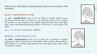 These may be subdivided into additional types based on the orientation of the
vasculature.
 ANA - AMPHITROPOUS TYPE
An ana - amphitropous ovule is one in which a vascular strand curves,
traversing from the base of funiculus to the chalazal region of the nucellus;
the nucellus is bent sharply in the middle along both the lower and upper
sides, often with differentiated cells (called a “basal body”) at the angle of the
bend.
E.g., Alisma & seen in Asteraceae members.
ORTHO - AMPHITROPOUS TYPE
An ortho - amphitropous ovule is one in which the vasculature is straight,
leading from the funiculus base to the middle of the nucellus; the nucellus is
bent sharply in the middle along both the lower and upper sides, often with a
“basal body” present.
28
 