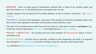  EPISTASE - There is similar group of specialized cutinized cells is found in the nucellar region, just
above the embryo sac. A well marked tissue in micropylar part of ovule.
 Usually originates from the apical cell of nucellar epidermis. It may be nutritive in function. E.g. Costus,
Castalia.
 PERISPERM - In most of the angiosperm, entire part of the nucellus is utilized by developing embryo sac
but in some of the angiosperm some part of the nucellus remain inside the ovules.
 That part of the nucellus present inside the seed in the form of a thin layer is known as perisperm. E.g.,
Commonly found in Piperaceae (Piper nigrum) and Zingiberaceae (Turmeric, Ginger).
 PSEUDO – EMBRYO SAC - The nucellus dissolves in the members of Podostemaceae family to form a
nutritional cavity.
 NUCELLAR BEAK - Nucellar tissue is generally confined to inner integument, but rarely it is projected
into micropyle (Caryophyllaceae) or beyond it forming a beak like structure called nucellar beak.
E.g. Members of Euphorbiaceae, Cucurbitacae, Nyctaginaceae.
6
 