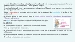 • A well - defined but irregularly outlined group of nucellar cells with poorly cytoplasmic contents but have
partially lignified walls composed of a starch, proteins & lipids.
• Occasionally, the cells of the hypostase may surround a portion of the embryo sac and may even extend into
the micropylar half of the ovule.
• In the Loranthaceae, a hypostase is present below the archesporium. In Aristolochia, it persists in the
mature seed.
• Hypostase occurs in many families such as Amaryllidaceae, Liliaceae, Zingiberace, Euphorbiaceae,
Theaceae and Apiaceae.
• In Agave, the cells of hypostase accumulate starch, proteins and lipids.
FUNCTIONS:
• It maintains water balance in a resting seed during hot dry seasons.
• Take up protective role in mature seed.
• Hypostase forms a barrier or boundary for growing embryo sac and prevents from protruding into the base
of the ovule
• Hypostase transports nutrients by connecting the vascular bundle in the funiculus with the embryo sac
• It produces certain enzymes or hormones.
8
 