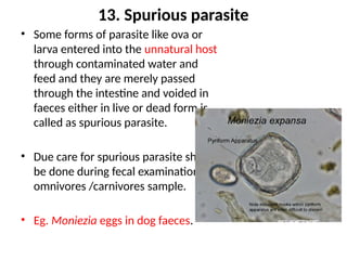 Parasite Overview Comprehensive Overview of Parasite Types and Classifications in ...