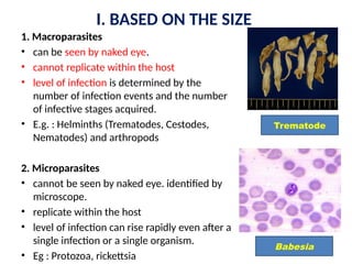 Parasite Overview Comprehensive Overview of Parasite Types and Classifications in ...