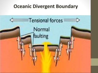 Oceanic Divergent Boundary
 