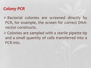 Colony PCR
 Bacterial colonies are screened directly by
PCR, for example, the screen for correct DNA-
vector constructs.
 Colonies are sampled with a sterile pipette tip
and a small quantity of cells transferred into a
PCR mix.
 