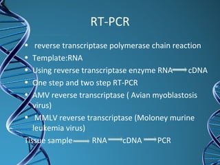 RT-PCR
• reverse transcriptase polymerase chain reaction
• Template:RNA
• Using reverse transcriptase enzyme RNA cDNA
• One step and two step RT-PCR
• AMV reverse transcriptase ( Avian myoblastosis
virus)
• MMLV reverse transcriptase (Moloney murine
leukemia virus)
Tissue sample RNA cDNA PCR
 