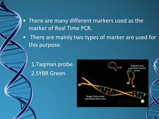 • There are many different markers used as the
marker of Real Time PCR.
• There are mainly two types of marker are used for
this purpose.
1.Taqman probe.
2.SYBR Green
 