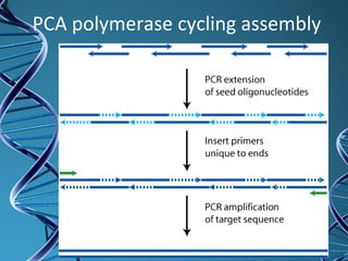 PCA polymerase cycling assembly
 