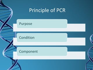 Principle of PCR
 