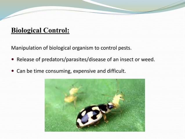 Pest Introduction Types of Pest Control.pptx | Agriculture | Industries