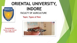 ORIENTAL UNIVERSITY,
INDORE
FACULTY OF AGRICULTURE
Topic: Types of Pest
Presented By :
Toofan Singh Tanwar
OUI119BAG401
 