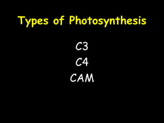 Types of Photosynthesis C3 C4 CAM 