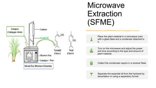 Microwave
Extraction
(SFME)
Place the plant material in a microwave oven
with a glass flask and a condenser attached to
it.
Turn on the microwave and adjust the power
and time according to the type and amount of
plant material.
Collect the condensed vapors in a receiver flask.
Separate the essential oil from the hydrosol by
decantation or using a separatory funnel.
 