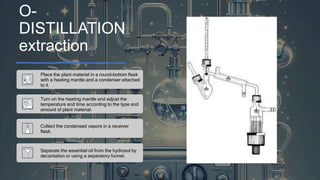 O-
DISTILLATION
extraction
Place the plant material in a round-bottom flask
with a heating mantle and a condenser attached
to it.
Turn on the heating mantle and adjust the
temperature and time according to the type and
amount of plant material.
Collect the condensed vapors in a receiver
flask.
Separate the essential oil from the hydrosol by
decantation or using a separatory funnel.
 