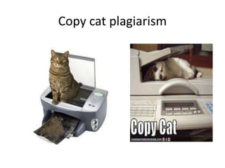Copy cat plagiarism
 