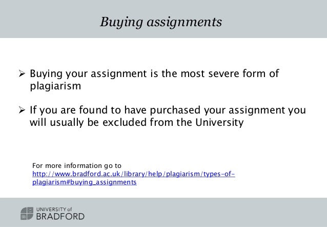 Someone copied my website design picture