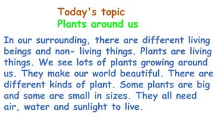 In our surrounding, there are different living
beings and non- living things. Plants are living
things. We see lots of plants growing around
us. They make our world beautiful. There are
different kinds of plant. Some plants are big
and some are small in sizes. They all need
air, water and sunlight to live.
Today's topic
Plants around us
 