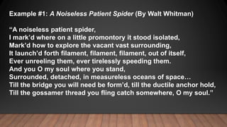 Example #1: A Noiseless Patient Spider (By Walt Whitman)
“A noiseless patient spider,
I mark’d where on a little promontor...
