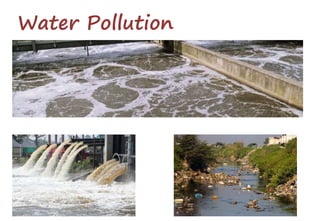 Water Pollution
 