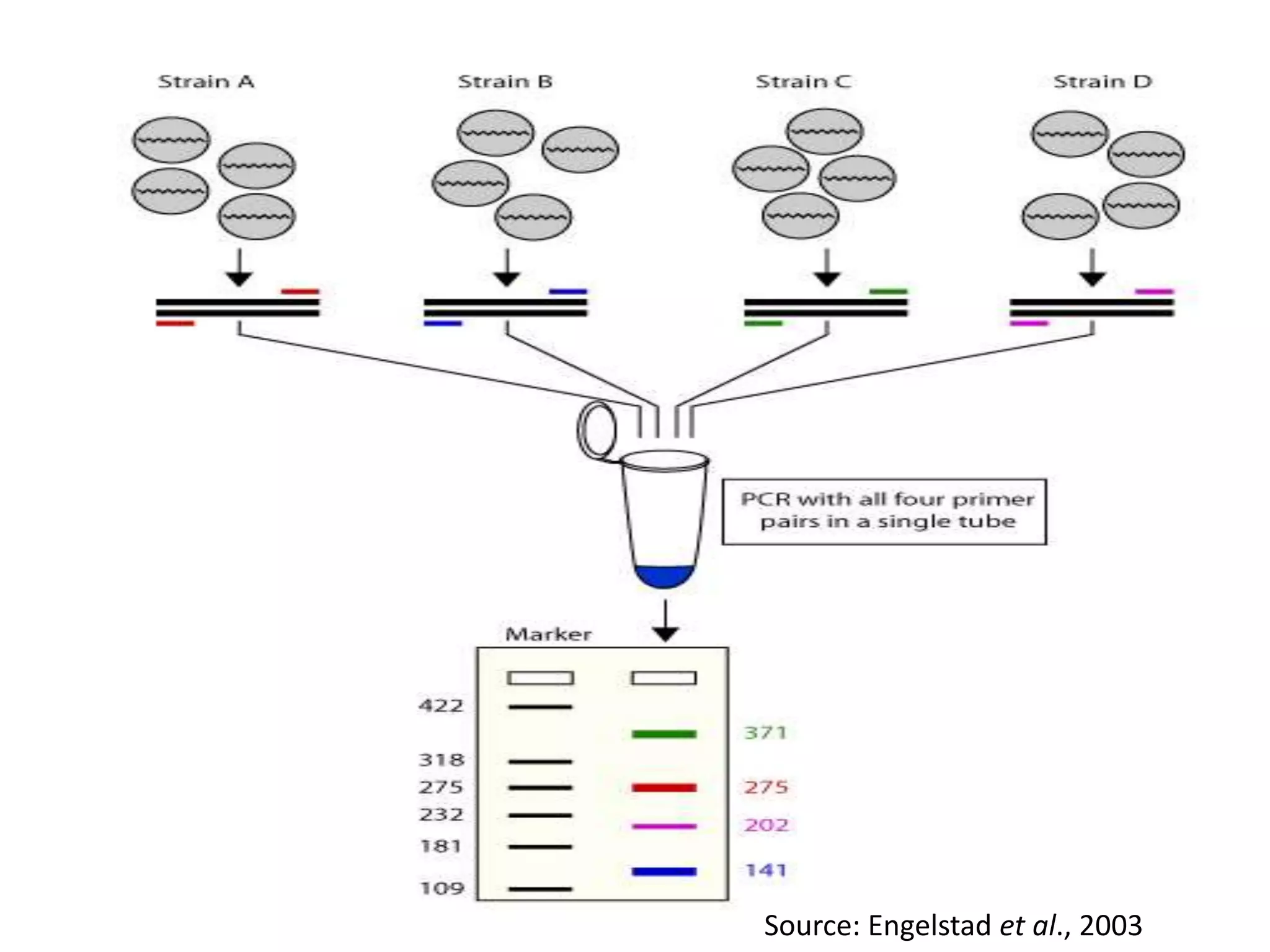 Source: Engelstad et al., 2003
 