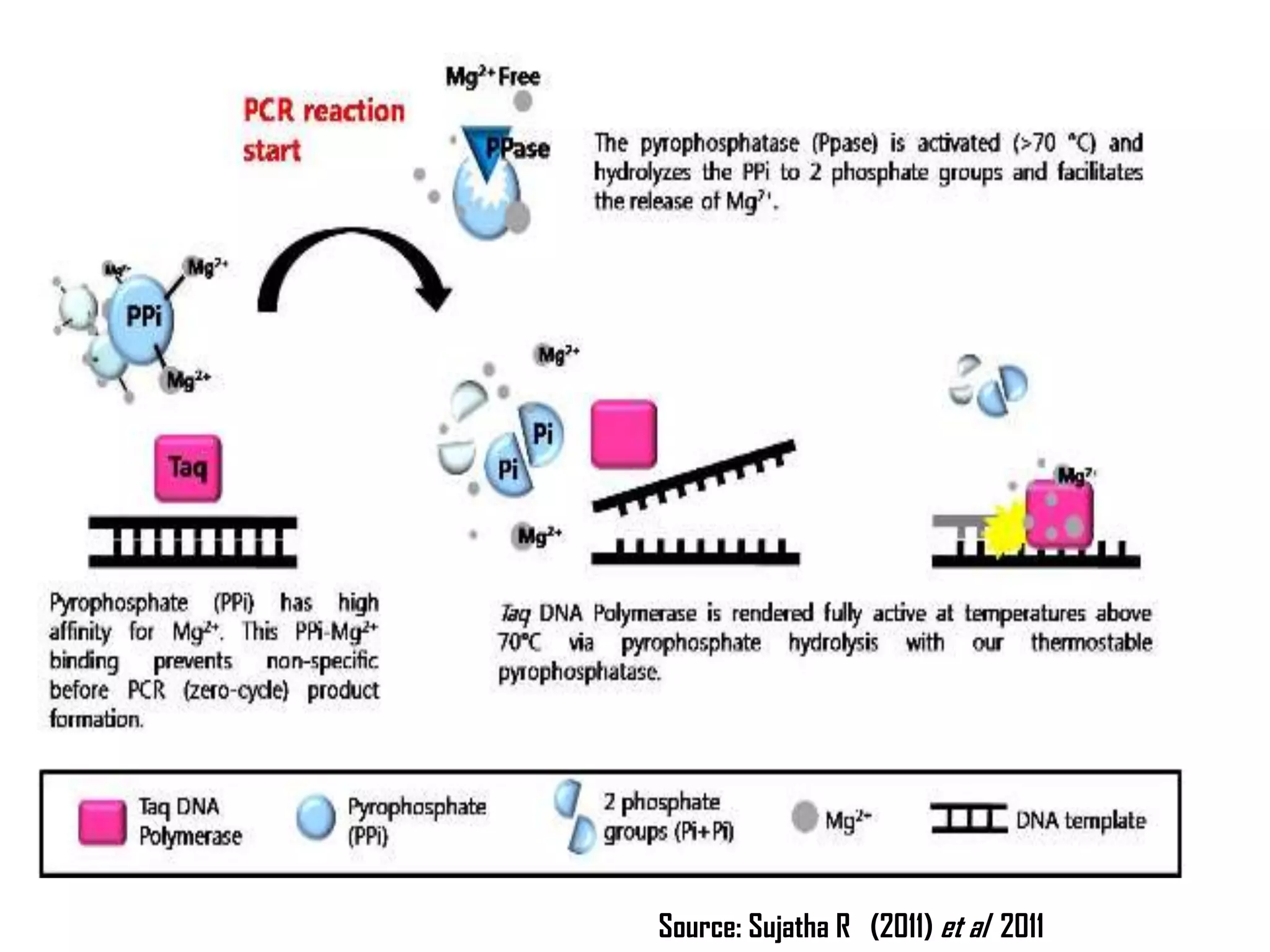 Source: Sujatha R (2011) et al 2011
 