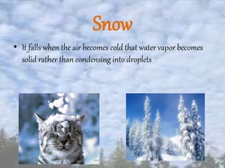 Snow
• It falls when the air becomes cold that water vapor becomes
solid rather than condensing into droplets
 