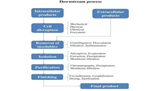Types of processing.pptx