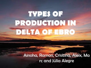 TYPES OF
PRODUCTION IN
DELTA OF EBRO
Ainoha, Ramon, Crisitina, Aleix, Ma
rc and Júlia Alegre
 
