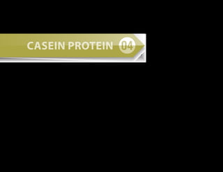 Casein Protein serves a very slow digestion, which is
benefitial, if you want to stay full for a longer period of
time during the day. It’s also great to slowly feed your
muscles for several hours while you’re sleeping. Casein
protein is very high in glutamine to help your body
recover faster and boost your immune system.
Casein Protein
 